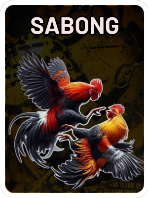 sabong